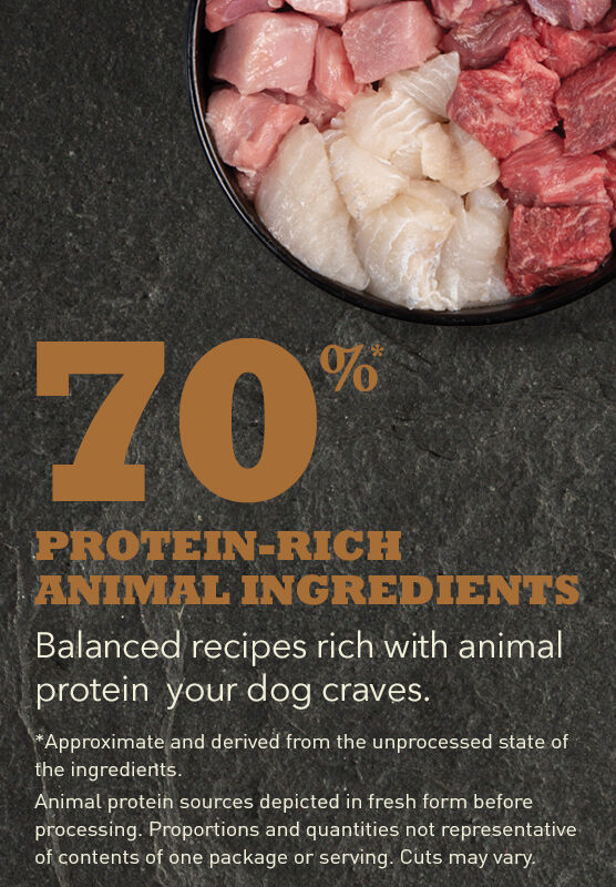 Acana appalachian ranch cat food new arrivals